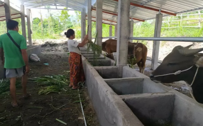 Kejaksaan Negeri Lombok Tengah melakukan permintaan klarifikasi terhadap dugaan tindak pidana korupsi pengadaan 1.000 ekor sapi.